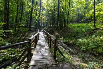 Hiking along the red trail to the highest peak of the Bieszczady Mountains - Tarnica