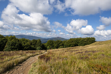 Hiking along the red trail to the highest peak of the Bieszczady Mountains - Tarnica