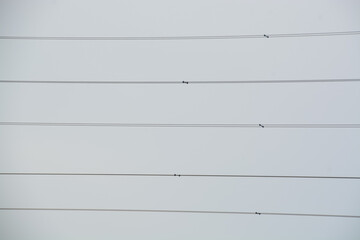 Five parallel high-voltage power lines create a strong, orderly geometric pattern against a plain overcast sky, symbolizing the structure of the modern electrical grid.