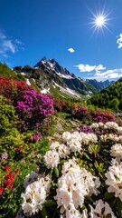 Mountain flowers under a bright sky