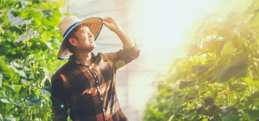 Male farmer is smiling happily looks at the crops his has planted.