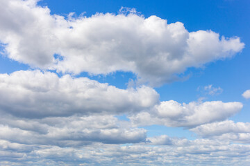 Fototapeta premium White clouds on a summer blue sky for background or wallpaper design. Majestic cumulus clouds float across the endless sky, their graceful forms painting a mesmerizing canvas of beauty and grandeur.