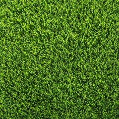 Vibrant and lush green grass texture, providing a fresh, natural, and refreshing aesthetic
