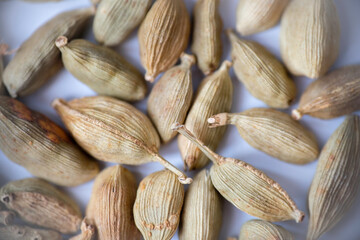Close-up of organic dried green cardamom pods