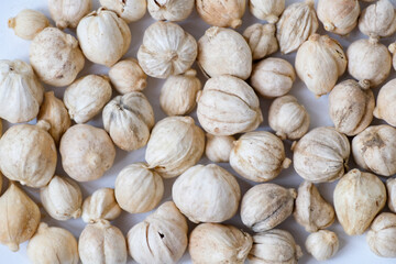 Close-up of dried white cardamom