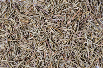 Close-up of dried rosemary background