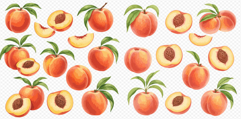 Illustration of peaches, whole, halved, and sliced, with leaves.