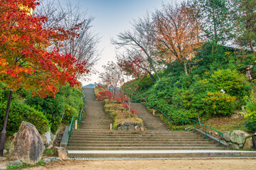 Kodaiji Park in Kyoto,. Japan