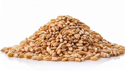 Wheat Grains Isolated On White Background