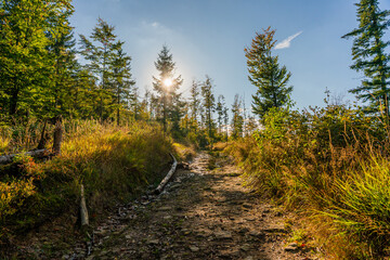 Szlak turystyczny w górach. Beskid Śląski w Polsce latem.