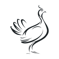 Fototapeta premium Elegant line drawing of a graceful bird in motion. Vector line illustration