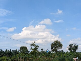 Fototapeta premium A bright, sunny, blue sky filled with fluffy white clouds, overlooking lush green trees.