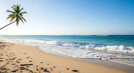 Turquoise waves gently lap a golden sandy beach under a bright blue sky with a leaning palm tree