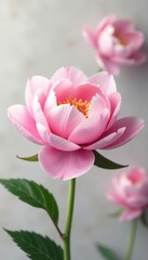 Fototapeta premium Soft pink peony petals, delicate texture, light background , petals, floral