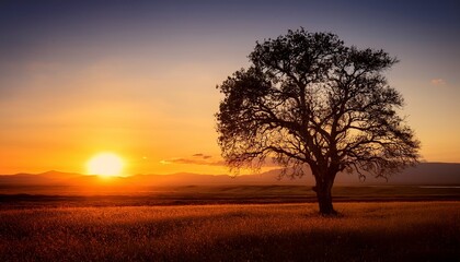 Obraz premium Tree At Sunset