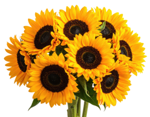 Bright bouquet of yellow sunflowers with brown centers and green stems