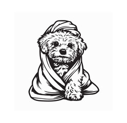 Maltipoo Puppy Wrapped in Towel Vector image isolated on white background