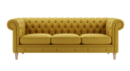 Elegant mustard yellow chesterfield sofa isolated, luxurious velvet couch with tufted upholstery for living room furniture