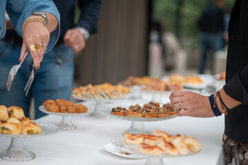 Elegant Buffet Spread Showcasing a Variety of Delicious Appetizers and Savory Bites for a Sophisticated Private Gathering with Guests Mingling and Enjoying the Festivities