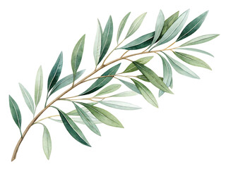 Watercolor Olive Branch Illustration on Black Background Symbol of Peace and Mediterranean Design Element Isolated for Graphic Design Projects