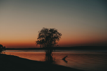 Sunset over a tranquil lake with a silhouetted tree. The sun sets over a calm lake, casting a warm glow on the water and the silhouetted tree in the middle. The sky is painted with vibrant colors.