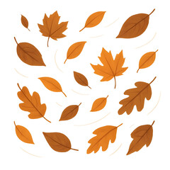 Fototapeta premium autumn leaves seamless pattern