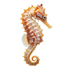 Fototapeta premium A detailed photograph of a seahorse, showcasing its intricate features and vibrant colors. The seahorse gracefully poses against a clean, simplified backdrop, revealing its beauty