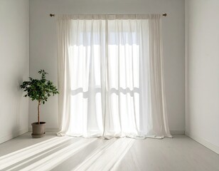 Bright Interior with White Curtains and Plant in Pot Sunlight Streaming Through Window Minimalist Empty Room Clean Light Home Decor Photo