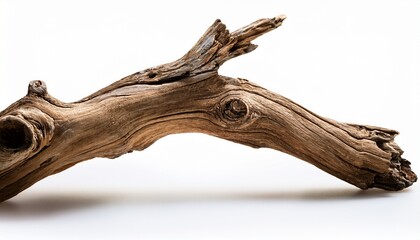 Driftwood Old Branch Isolated On White Transparent Background