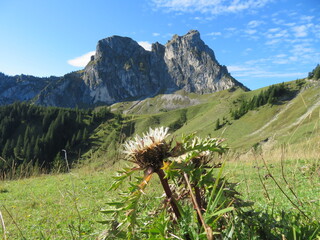 Bergblicke als Seelenfrieden