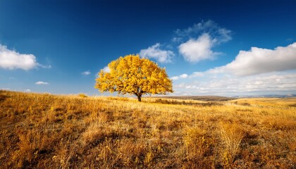 Yellow Tree And Sky