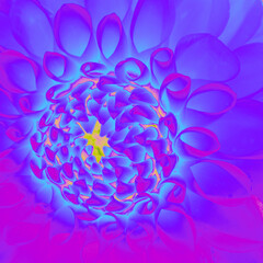 Vibrant neon close-up of a dahlia flower. Intense blue, pink, and purple hues with glowing petal...