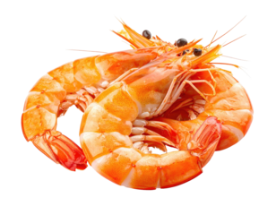 Two cooked prawns with orange shells, curled against a dark background