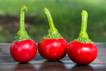 round varietal hot red peppers