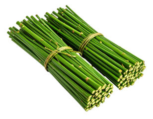 Two bundles of green, cylindrical plant stems, tightly bound with string