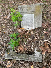 Old ruined tombstone in the public cemetery for children