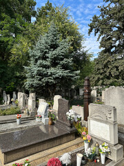 Tombstones in the public cemetery