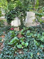 Tombstone in the public cemetery