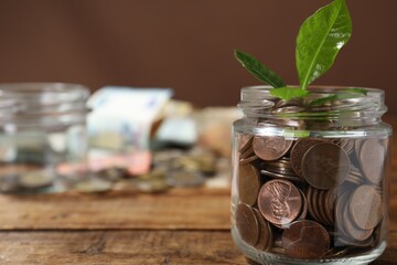 Glass jar with coins and sprout on wooden table, closeup