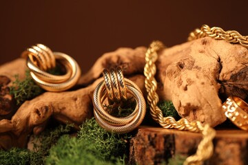 Beautiful gold jewelry on wood with moss against brown background, closeup