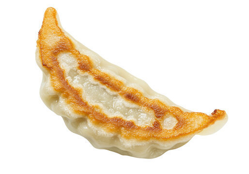 Delicious pan-fried gyoza dumpling isolated on transparent background, Japanese cuisine appetizer for restaurant menu and food photography