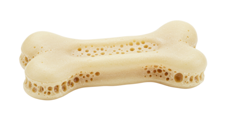 Dog bone treat isolated on transparent background, porous chew toy for pet dental care and animal nutrition