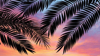 Obraz premium Silhouettes of palm fronds against a colorful sunset sky.