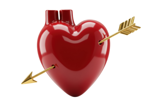 Red anatomical heart with golden arrow isolated on transparent PNG, love and romance concept for Valentine s Day design