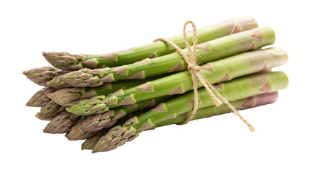 Fresh green asparagus bundle isolated PNG, tied with twine for healthy eating and vegetarian recipes