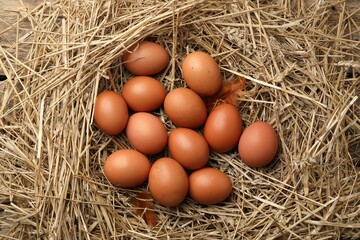 Raw chicken eggs, feathers and straw on table, flat lay
