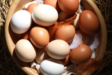 Raw chicken eggs and feathers in bowl on straw, top view