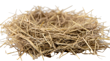 hay bale isolated on white