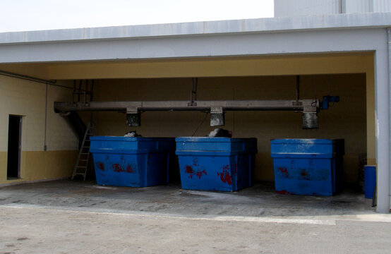 Dewatered sludge or biosolids are deposited from overhead conveyor into three large blue metal containers (skips) under covered area at wastewater treatment plant, showing waste disposal