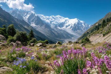 Fototapeta premium Serene Mountain Landscape Showcasing Vibrant Wildflowers Under Clear Blue Skies with Majestic Snow-Capped Peaks in the Distance, Capturing Nature's Beauty and Tranquility